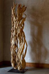 Drift Wood Curled Pillar